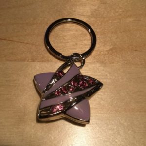 Purple Star with Pink Crystals Glitz Key Charm CH230 – Retail Price Shown Below
